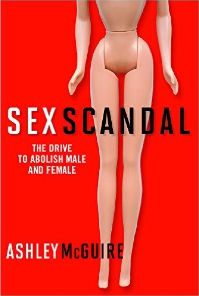 Sex Scandal, by Ashley McGuire