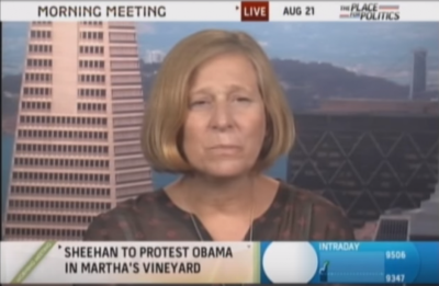 Antiwar activist Cindy Sheehan on MSNBC in 2009.