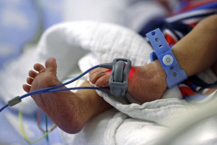 A premature baby waits in an incubator in hospital in Charleroi, Belgium, October 18, 2014.