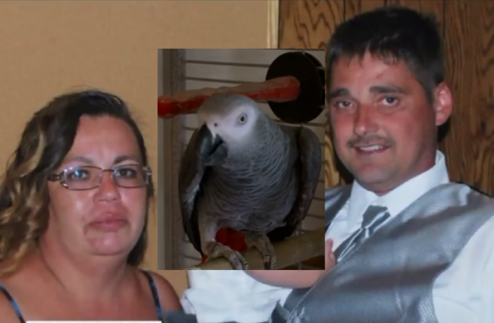 Glenna Duram, 49 (L), was found guilty of murdering her husband Martin Duram, 46 (R) in Michigan on Thursday Jul 20, 2017. The murder was witnessed by Marty's pet parrot, Bud (c).