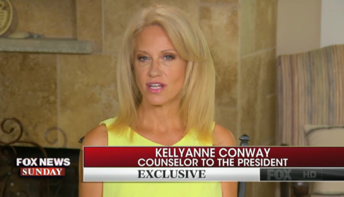 Kellyanne Conway, senior adviser to President Donald Trump, appearing on Fox News Sunday, July 30, 2017.