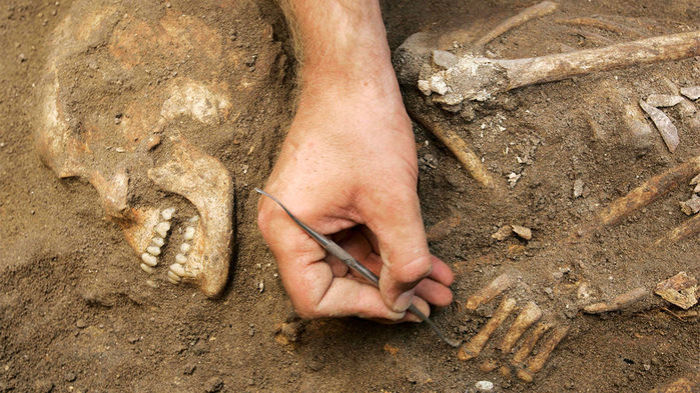 An archaeologist unearths a human skeleton dating back to the Canaanite period, around 1800 B.C. at an excavation site in Sidon, southern Lebanon August 5, 2008. Archaeologists have been working on the site for 10 years in a project undertaken with the British Museum.