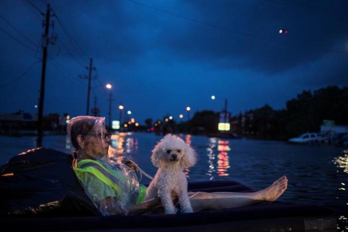A rescue helicopter hovers in the background as an elderly woman and her poodle use an air mattress to float above flood waters while waiting to be rescued from Scarsdale Boulevard in Houston.