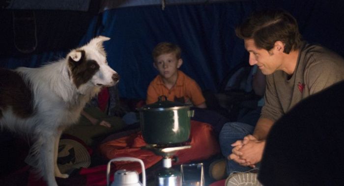Mitch Davis (Michael Cassidy) is struck by lightning while camping with his son and two other young boys.