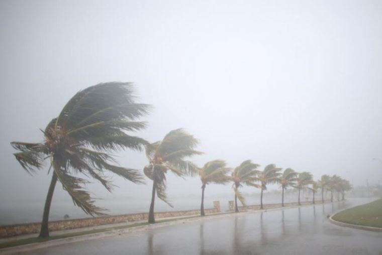 Palm trees sway in the wind prior to the arrival of the Hurricane Irma in Caibarien, Cuba, September 8, 2017.