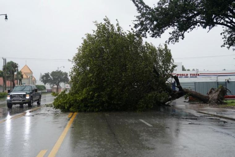 A fallen tree blocks Biscayne Blvd. as Hurricane Irma arrives in Hollywood, Florida.