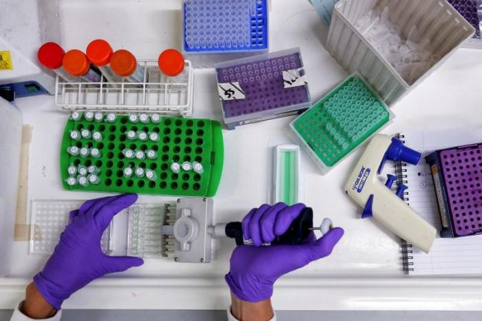 A scientist prepares protein samples for analysis in a lab at the Institute of Cancer Research in Sutton, July 15, 2013.