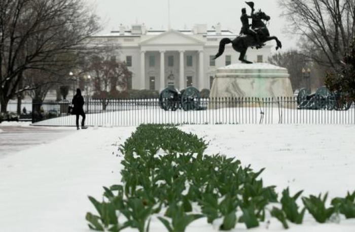 Flowers protrude from the snow as a woman stops to gaze out at the White House from Lafayette Park in Washington, U.S.