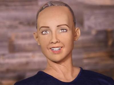 Sophia the Humanoid Robot