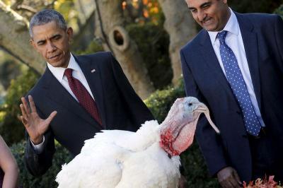 U.S. President Barack Obama pardons the National Thanksgiving Turkey during the 68th annual presentation of the turkey in the Rose Garden of the White House in Washington November 25, 2015.