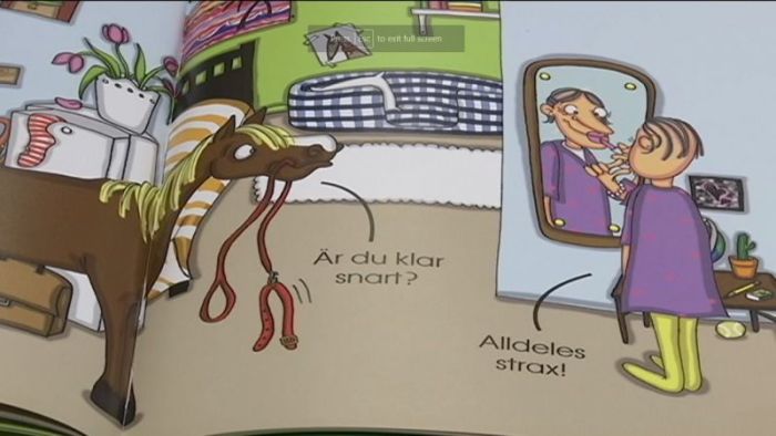 Hästen & Husse book engaging children with transgender issues as seen in a November 19, 2017 STV video.