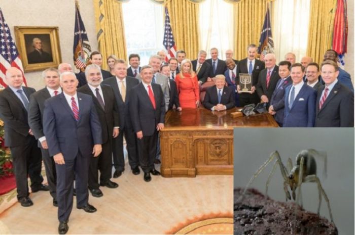 President Donald Trump meets with a group of evangelical leaders in the Oval Office on Monday December 11, 2017, in Washington, D.C. He was presented with the 'Friends of Zion' Award. Bottom right corner: yellow sac spider.