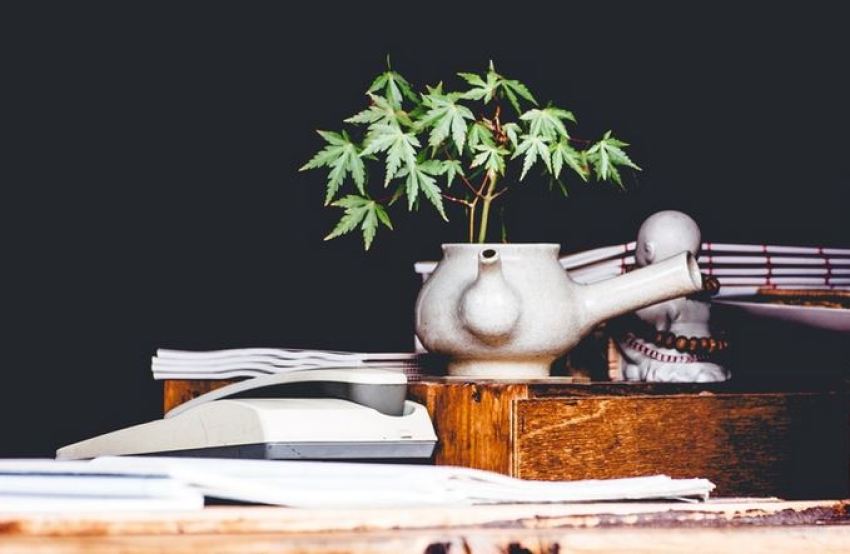 What values should we really be celebrating?