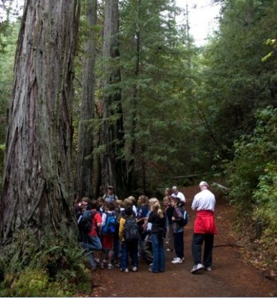 Children participate in outdoor education at Alliance Redwoods Conference Grounds in Occidental, California.