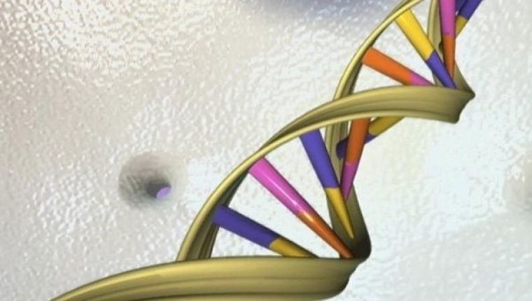 DNA
