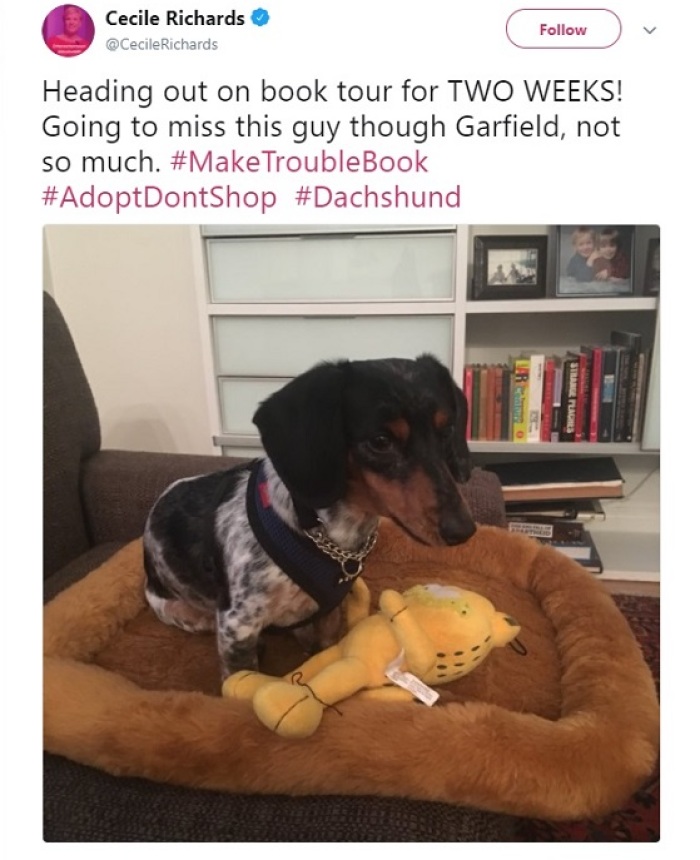 Planned Parenthood CEO Cecile Richards posts to Twitter an image of her pet dog.