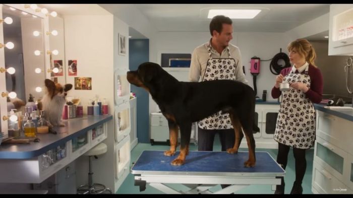 Starring Will Arnett, Chris 'Ludacris' Bridges, Natasha Lyonne, Jordin Sparks, Gabriel Iglesias, Shaquille O'Neal, Alan Cumming, and Stanley Tucci, SHOW DOGS is a family comedy about the unlikely pairing of a human detective (Arnett) and his canine partner (voice of Chris 'Ludacris' Bridges), who has to go undercover at the world's most exclusive dog show to solve his biggest case yet. Trailer released on January 11, 2018.