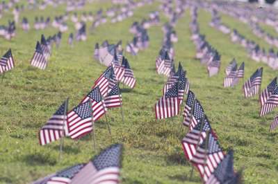 Flags of the United States are planted and lined up along the ground