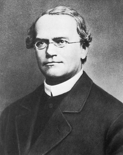 Gregor Mendel (1822-1884), an Augustinian monk whose scientific research led him to be known as the 'Father of Genetics.'