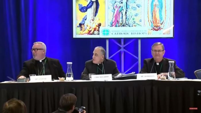 The U.S. Conference of Catholic Bishops press conference on November 12, 2018.