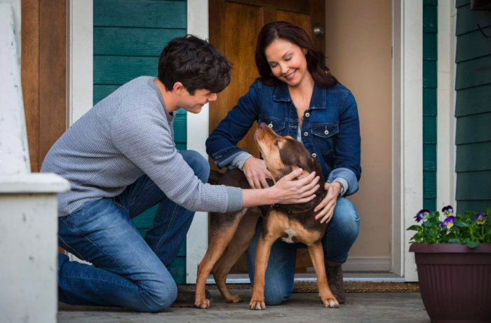 'A Dog’s Way Home' stars Ashley Judd, Jonah Hauer-King, Alexandra Shipp, Wes Studi, Edward James Olmos and the voice of Bryce Dallas Howard. 