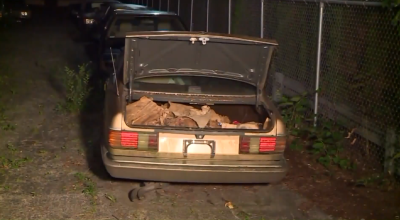 Aborted babies' remains were discovered in the trunk of a 1990s Mercedes Benz owned by the late abortionist Ulrich Klopfer. The vehicle was being stored in a gated lot at a business in Dolton, Illinois, the Will County Sheriff’s Office said in a statement released on Oct. 9, 2019. 