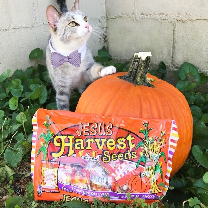Harvest Seeds from Scripture Candy.