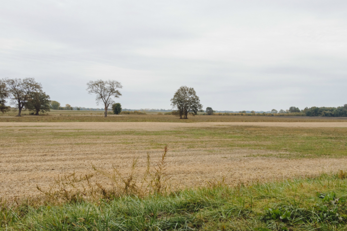 The vast farmland on the edge of Ste. Genevieve has been farmed since the French, who called it the big field. 
