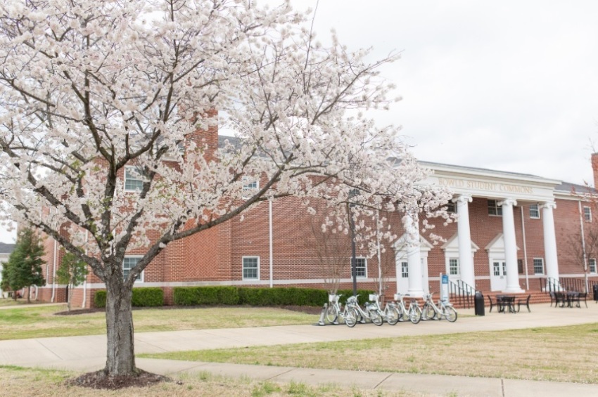 The Bowld Student Commons at Union University, a private academic institution affiliated with the Tennessee Baptist Convention and based in Jackson, Tennessee. Photo taken in March 2020.