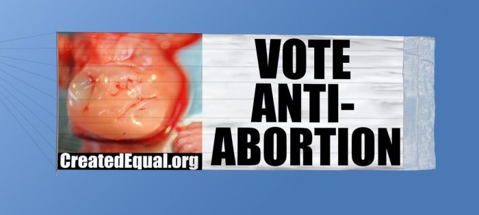 The pro-life group Created Equal will fly a banner depicting an aborted baby over several Georgia cities ahead of the high-stakes Senate runoff elections taking place in the state on Jan. 5. 