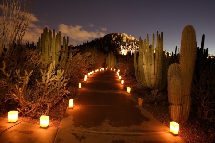 Luminarias in a desert botanical garden