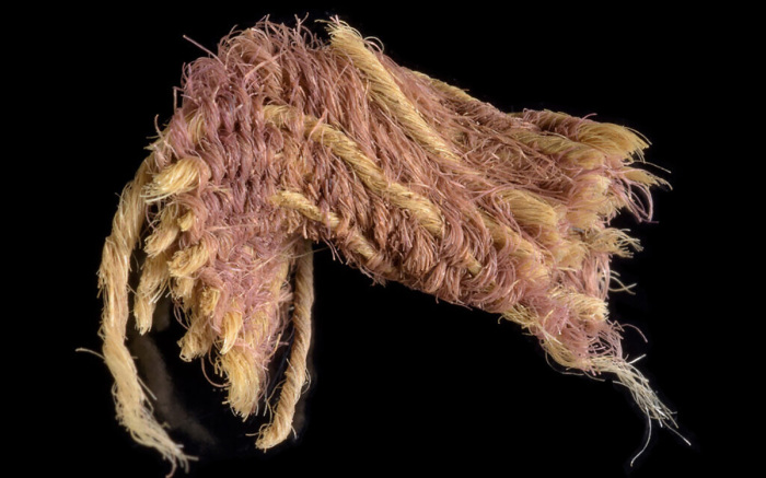 Fragment of the rare purple fabric from 1,000 BCE excavated in the Timna Valley. 
