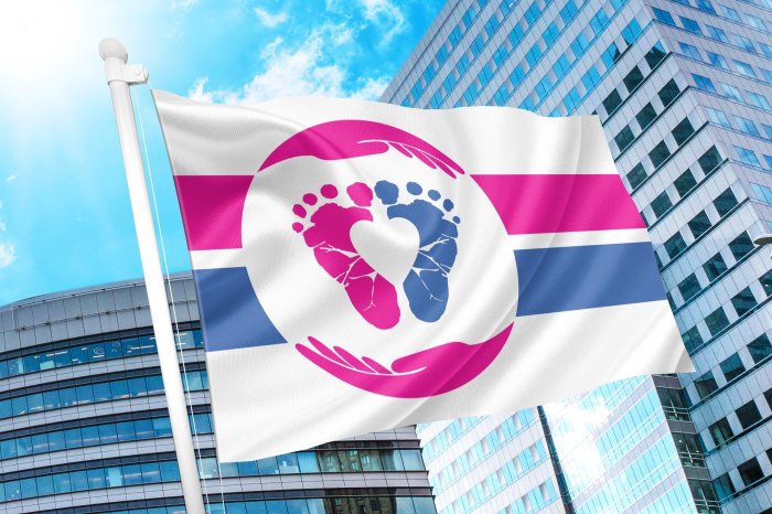 The Pro-Life Flag Project unveiled the flag that will serve as the international symbol of the pro-life movement on July 24, 2021. The winner was selected from a list of six finalists. More than a 1,000 designs were submitted.
