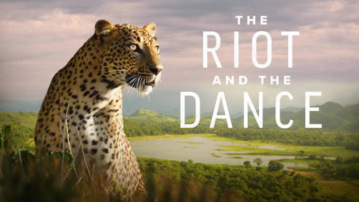 'The Riot and the Dance' movie poster