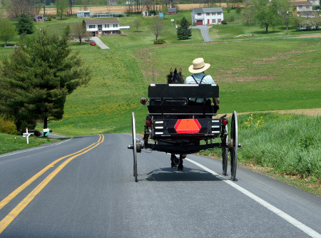 An open Amish Buggy makes its way to town.