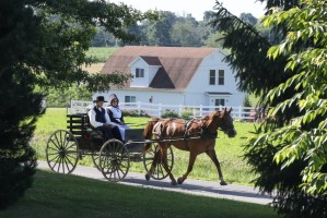 Mail-in voting may lead Amish to become deciding force in the 2024 election: GOP activist