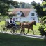 Mail-in voting may lead Amish to become deciding force in the 2024 election: GOP activist