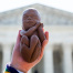 Abortions rising post-Dobbs, report claims; pro-life researcher skeptical