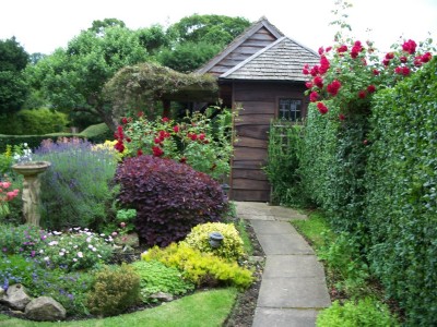 English rose garden