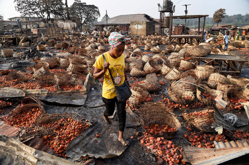 A lady walks among baskets full of tomatoes vandalized after deadly ethnic clashes between the northern Fulani and southern Yoruba traders at Shasha Market in Ibadan, southwest Nigeria, on February 15, 2021.