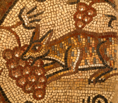 Mosaic depicting a fox eating grapes in the ancient synagogue at Huqoq. 