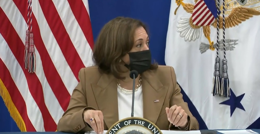 Vice President Kamala Harris meets with pro-choice Virginia lawmakers in a roundtable discussion about abortion in Highland Springs, Virginia, July 23, 2022.