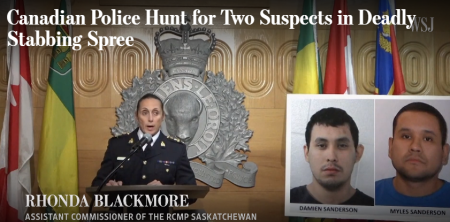 Screengrab: The Wall Street Journal