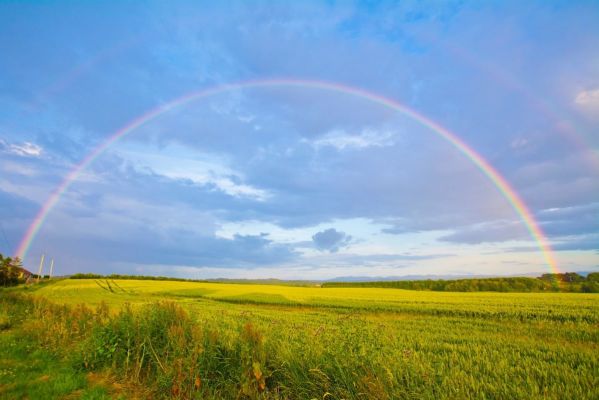 Miscalculating God's blessing can be a recipe for disaster