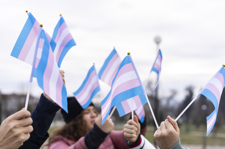 Transgender flags