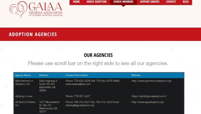 Screenshot of the Georgia Association of Licensed Adoption Agencies website. All God's Children is listed third.
