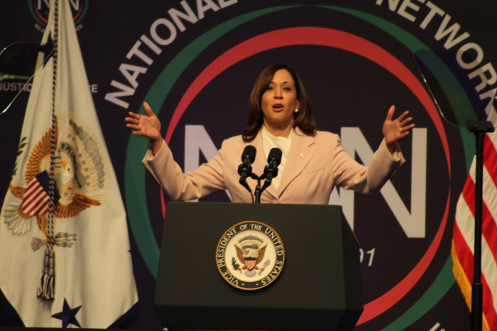 Vice President Kamala Harris speaks at the National Action Network Convention in New York City on April 14, 2023.