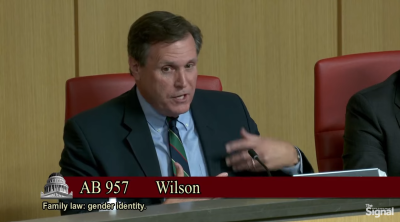 Republican State Sen. Scott Wilk of Santa Clarita speaks during a June 14 Senate Judiciary committee hearing in Sacramento. 