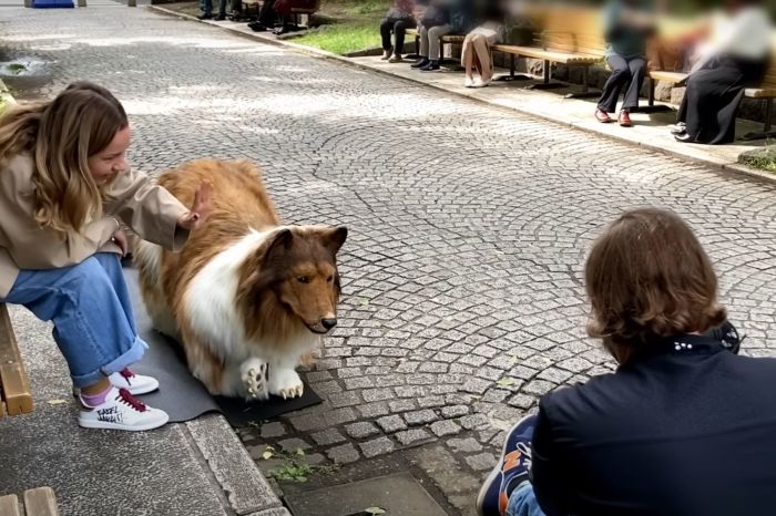 A man who spent thousands of dollars on a Collie costume to fulfill a childhood dream of becoming an animal walks in public in his dog suit in a video published to YouTube on July 21, 2023. 