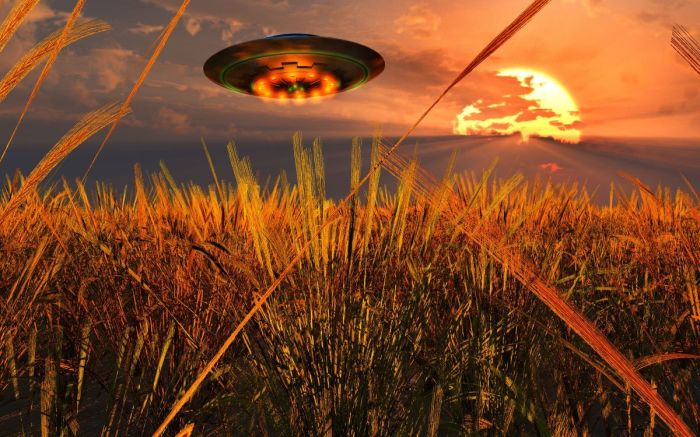 A flying saucer making a crop circle in a wheat field.